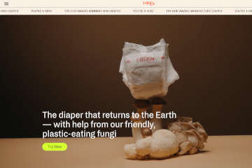 Hiro Diapers Website